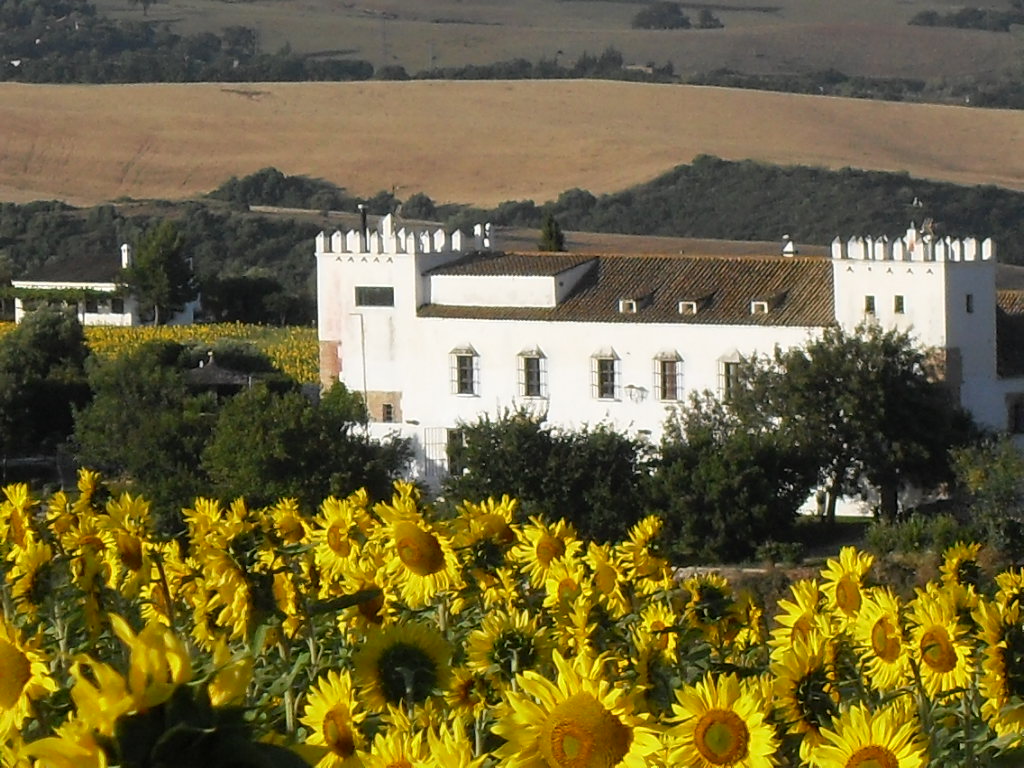 HOTEL RURAL CORTIJO hotel rural cortijo:
