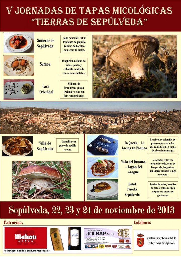 jornadasmicologicas2013