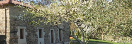 A Casa da Torre Branca