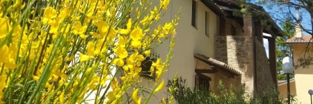 Agriturismo La Ginestrella