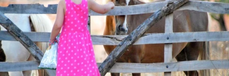 Agroturismo Finca Son Sala