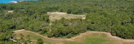 Agroturismo Ses Arenes