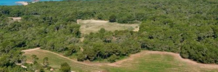 Agroturismo Ses Arenes