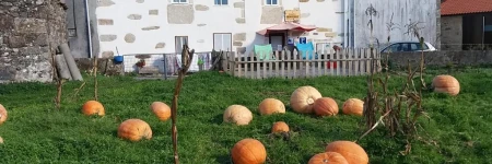 Albergue a Casina di Marcello