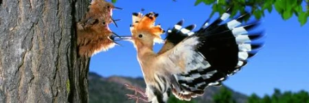 Albergue Lugares Comunes