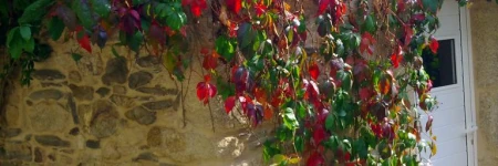 Albergue Rural-Pension A Casa de Carmen