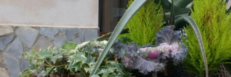 Albergue Turístico Tierras Altas