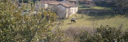 Alojamientos Manzanela
