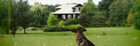 Alpakarium, Hodowla alpak & pensjonat