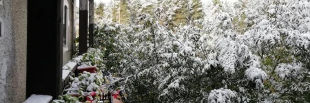 APARTAMENTOS TURÍSTICOS "LA DIRECCIÓN"