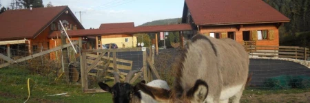 Auberge du Saut des Cuves