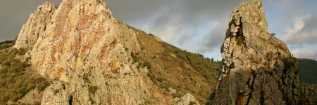 Bungalows Camping Parque Nacional de Monfragüe