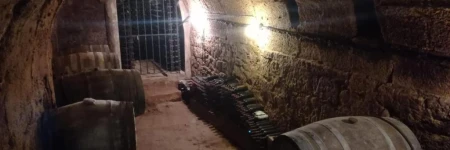 Calao de Cuatro Copas