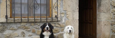 Casa de Aldea El Sol (elsoldelasmascotas)