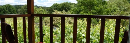 Casa de las Flores Sober Ribeira Sacra