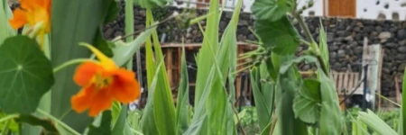 CASA RURAL ANTIGUA ESCUELA I