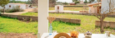 Casa rural Can Pep de Sa Barda-Entre viñedos-Formentera Natural