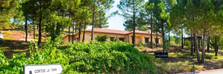 Casa Rural Cortijo La Tapia