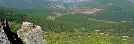 Casa rural El Pinche