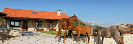 Casa Rural El Ribero II