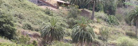 Casa Rural El Rincón de Antonia