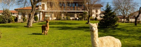 Casa Rural Flor de Vida-B&B