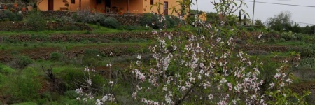 Casa Rural la Correa del Rosal