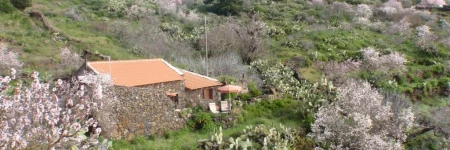 Casa rural La Jarita