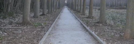 Casa Rural la Muralla