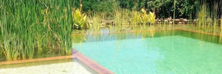 Casas Rurales Camino del Castaño