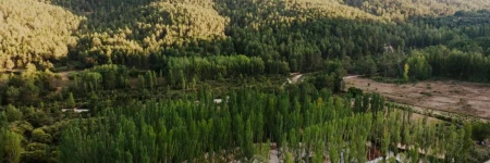 Complejo Rural Rio Tus