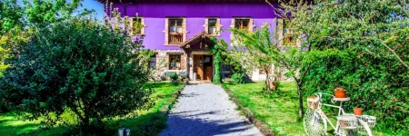 El Búho de la Remolina