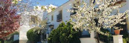 El Molino De Morillas