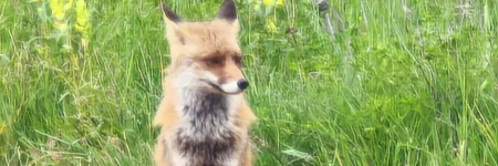 El Pecu Casa Rural Starfamiliar