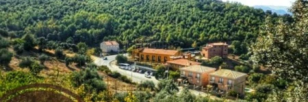 Hostal Restaurante Solaire