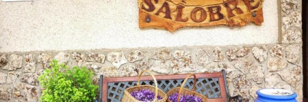 Hostal Ribera de Salobre