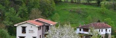 Hotel Rural Alesga ***