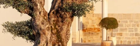 HOTEL RURAL FINCA LA DESA