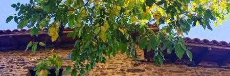 Hotel Rural Las Campares