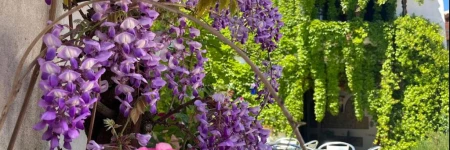 Hotel Rural las Cinco Ranas