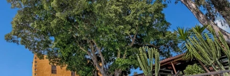 Hotel Rural LIVVO Maipez