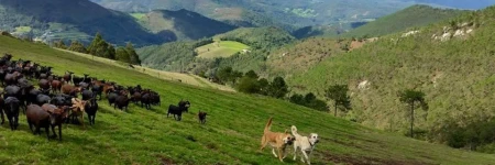 Hotel Rural Yeguada Albeitar