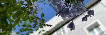 Hotel San Miguel Menorca