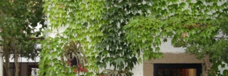 Las Casas del Patio Chico I y II