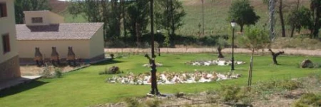 Los Clásicos de Cuenca