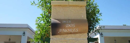 MIS DOS AMORES (EL PALMAR)