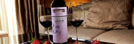 Nexus Valladolid Suites & Hotel