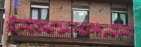 Pensión Rosa