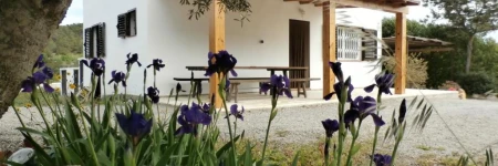 Sa Vinya Casa de Campo