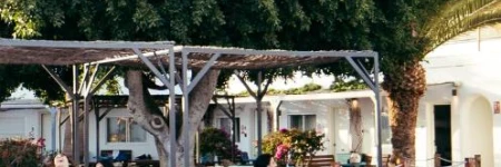 The Tree House Tenerife